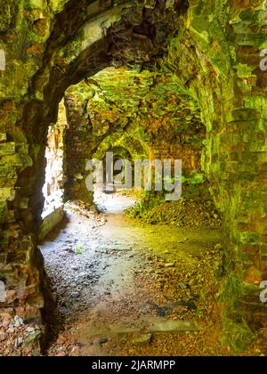 Fortezza abbandonata fuori, rovinata cittadella boscosa Tarakaniv, Ucraina Foto Stock