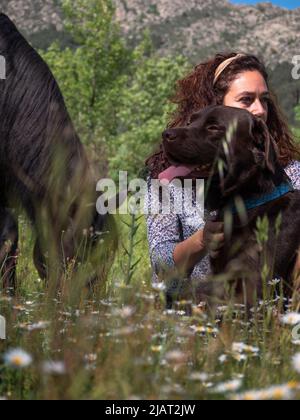 Donna con il suo cioccolato labrador Retriever in una passeggiata in montagna in primavera prato circondato da cavalli. Foto Stock