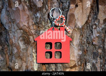 Piccola chiave a forma di cuore decorata con rhinestones rossi e con una portachiavi a forma di casa rossa appesa su un albero all'aperto. Campagna sogno casa concep Foto Stock