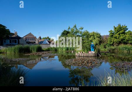 Brighton UK 1st Giugno 2022 - i ritagli di cartone della Regina e dei membri della famiglia reale sono apparsi sul laghetto delle anatre nel villaggio Rottingdean vicino Brighton mentre si preparano per le celebrazioni del Giubileo del platino della Regina nei prossimi giorni. Il taglio del principe Andrew sulla sinistra Dell'isola è stato tenuto separato da altri membri della famiglia: Credit Simon Dack / Alamy Live News Foto Stock