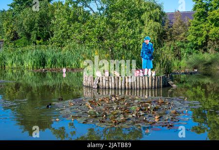 Brighton UK 1st Giugno 2022 - i ritagli di cartone della Regina e dei membri della famiglia reale sono apparsi sul laghetto delle anatre nel villaggio Rottingdean vicino Brighton mentre si preparano per le celebrazioni del Giubileo del platino della Regina nei prossimi giorni. Il taglio del principe Andrew sulla sinistra Dell'isola è stato tenuto separato da altri membri della famiglia: Credit Simon Dack / Alamy Live News Foto Stock