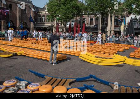 Alkmaar, Paesi Bassi, maggio 2022. I vettori di formaggio al mercato del formaggio Alkmaar. Foto di alta qualità Foto Stock