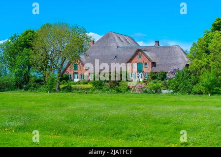 Grande fattoria di paglia chiamata 'Haubarg', tipica della penisola argiricola Eiderstedt, Frisia settentrionale, Schleswig-Holstein, Germania settentrionale Foto Stock