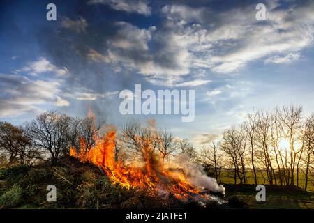 Großes Holzfeuer eine tradizione zur Walpurgisnacht Foto Stock