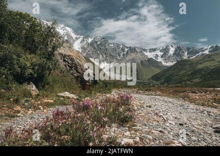 Una vista incredibile sul Ghiacciaio Shkhara nella catena montuosa del Caucaso maggiore in Georgia, nella regione di Svaneti, Ushguli. Montagne innevate. Monte Shkhar Foto Stock