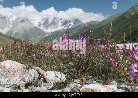 Paesaggio di montagna di Svaneti in luminosa giornata estiva di sole. Lago di montagna, colline coperte di erba verde su sfondo roccioso nevoso montagne. Cime del Caucaso Foto Stock