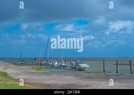 Everschop,Tetenbüll, Peninsula Eiderstedt, Frisia settentrionale, Schleswig-Holstein, Germania settentrionale Foto Stock