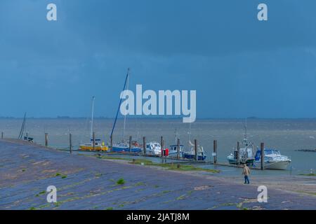 Everschop,Tetenbüll, Peninsula Eiderstedt, Frisia settentrionale, Schleswig-Holstein, Germania settentrionale Foto Stock