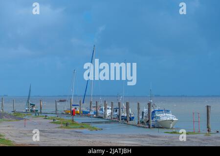 Everschop,Tetenbüll, Peninsula Eiderstedt, Frisia settentrionale, Schleswig-Holstein, Germania settentrionale Foto Stock