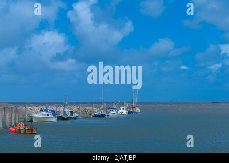 Everschop,Tetenbüll, Peninsula Eiderstedt, Frisia settentrionale, Schleswig-Holstein, Germania settentrionale Foto Stock