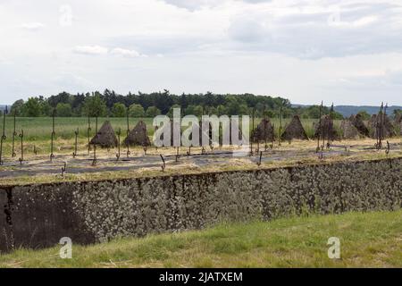 Barriera anticarro in cemento armato in natura dalla seconda guerra mondiale Foto Stock