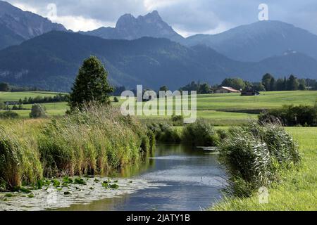 Piccolo fiume con canne di fronte alle Alpi Bavaresi Foto Stock