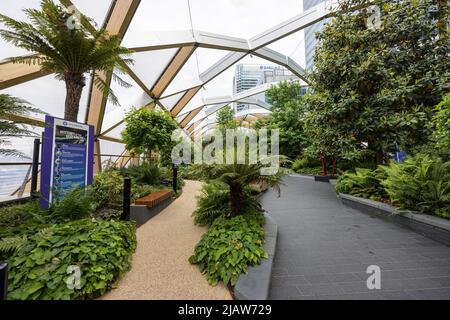 Crossrail Place Roof Garden Elizabeth Line alla stazione della metropolitana di Canary Wharf sull'Isle of Dogs, Tower Hamlets nel centro di Londra Foto Stock