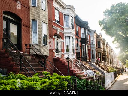 Viale alberato con case in pietra a Crown Heights, Brooklyn, New York City, New York Foto Stock