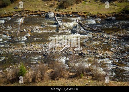 Acqua torbida del fiume Chuya nella Repubblica Altai, paesaggio naturale con montagne, fiume e alberi in Russia Foto Stock