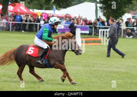 Ipswich, Regno Unito. 01st Giu 2022. Dopo essere stato cancellato nel 2020 e nel 2021 a causa di restrizioni Covid il Suffolk Show ritorna a Ipswich. Il Shetland Pony Grand National raccoglie denaro per la fiducia del cancro del campione Bob. Nella foto è Lucas Murphy il figlio di Jockey Timmy. Credit: Eastern views/Alamy Live News Foto Stock