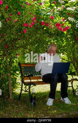 uomo maturo seduto in giardino con computer portatile che lavora da casa sotto l'ombra di un arco naturale di rose che tiene un bicchiere di vino Foto Stock