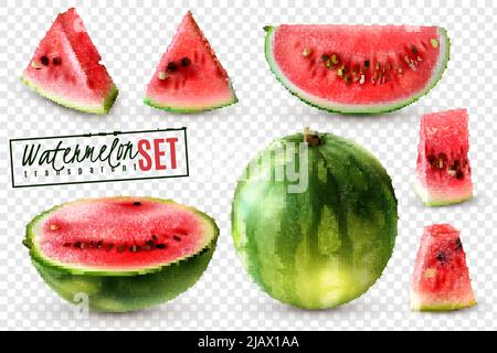 Set di cocomeri realistici con mezzo quarto intero di fette e pezzi di dimensione morso sfondo trasparente isolato illustrazione vettoriale Illustrazione Vettoriale