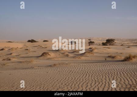 Un paesaggio di sabbia e acacias che si estende su tutta la parte mauritana del deserto del Sahara Foto Stock