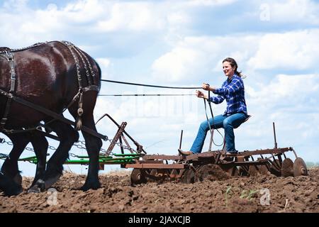 Donna che arava un campo con una squadra di quattro cavalli neri Percheron. Foto Stock