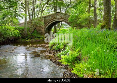 Hunters STY Bridge un antico ponte a cavallo di 14th secoli (restaurato nel 1874) nel Westerdale North York Moors National Park North Yorkshire Inghilterra UK Foto Stock