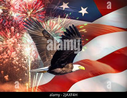 Bald Eagle che vola sullo sfondo della bandiera americana e fuochi d'artificio Foto Stock