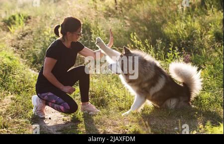 Ritratto di cane malamut dell'Alaska con proprietario Foto Stock