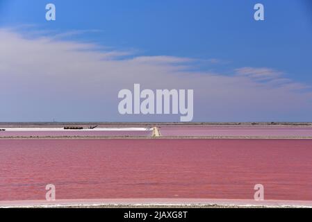 Produzione di sale nelle saline di acqua di mare Giraud nella Camargue, Dipartimento Bouches-du-Rhône Côte, Provenza-Alpi-Costa Azzurra, Francia, Europa Foto Stock