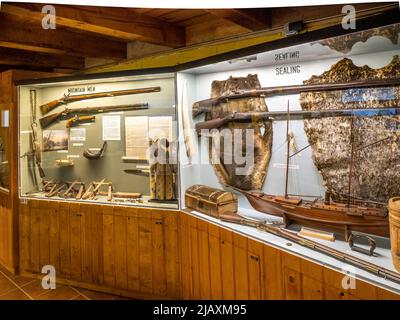 Mostre d'interni al Museum of the Fur Trade di Chadron, Nebraska USA Foto Stock