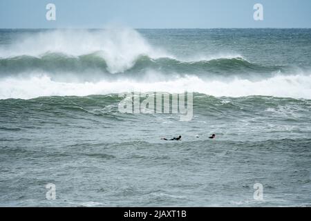 Stock foto di tempesta tropicale Henri nel 2021, Newport, RI. Stock foto di uragano. Stock foto di tempo estremo. Surfisti in uragano. Foto Stock