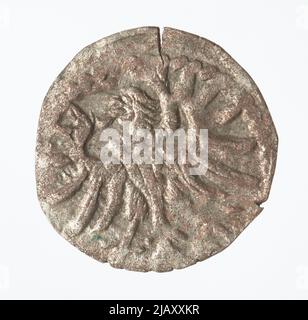 Zygmunt II Agosto [1544 (1548) 1572], Denar Gdański, Gdańsk; 1555 Mint di Gdańsk, Zygmunt Agosto Foto Stock