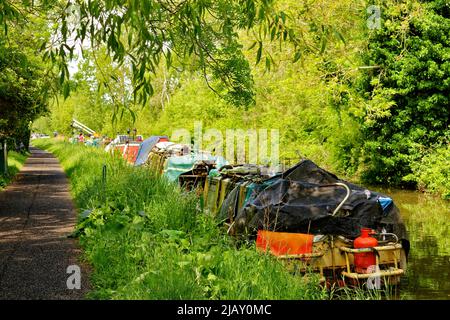 OXFORD CITY THE OXFORD CANAL UNA FILA DI CASE GALLEGGIANTI ORMEGGIATE O BARCHE STRETTE E ALBERI IN PRIMAVERA Foto Stock