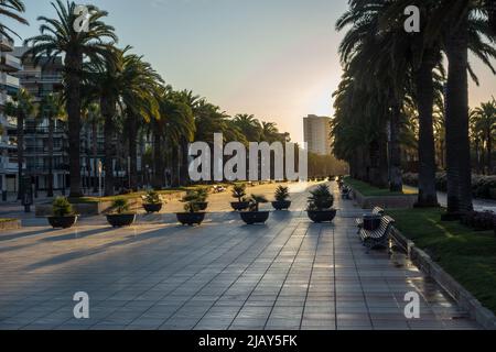 SALOU, TARRAGONA, SPAGNA - 4 OTTOBRE 2019 alba sul Passeig de Jaume i con palme Foto Stock