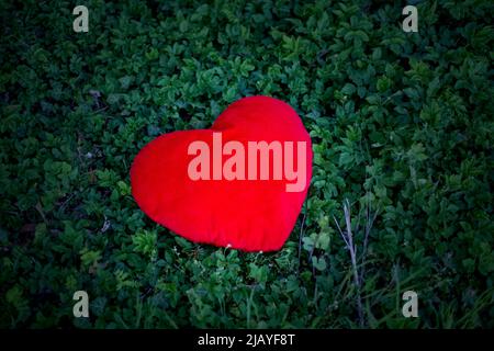 grande cuore rosso che giace all'aperto su piante verdi Foto Stock