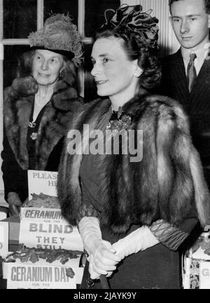 Duchessa di Gloucester's New Hat Fashion -- la Duchessa di Gloucester durante la sua visita al deposito del Normandie Hotel a Knightsbridge, Londra. La duchessa di Gloucester indossava un cappello estivo fatto di nastro quando girava nei depositi del 'Geranium Day' a Londra. "Geranium Day" è un giorno di bandiera per raccogliere fondi per i 14.000 non vedenti nella zona di Londra. Aprile 13, 1948. Foto Stock