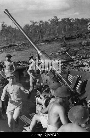 L'equipaggio di pistola leggera serie anti-aerei in azione quando hanno raggiunto la stazione di azione accanto alla loro pistola (membri dell'equipaggio stanno salendo in posizione accanto alla loro pistola in questo colpo.). Agosto 28, 1943. (Foto di H. Rodda). Foto Stock