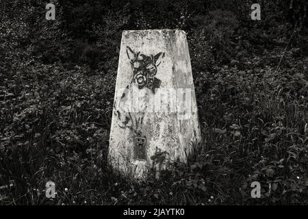 Colonna di trig coperta da Graffiti sulla parte superiore di Pontop Pike, Tyne & Wear, Regno Unito. Foto Stock