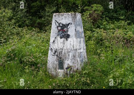 Colonna di trig coperta da Graffiti sulla parte superiore di Pontop Pike, Tyne & Wear, Regno Unito. Foto Stock