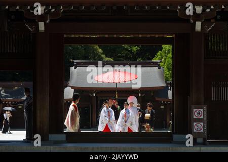 Una processione di nozze al Santuario Meiji di Harajuku, Tokyo, Giappone. Foto Stock