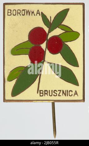 Etichetta sconosciuta del badge turistico Foto Stock