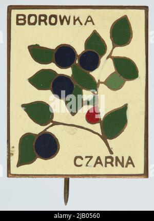 Etichetta sconosciuta del badge turistico Foto Stock