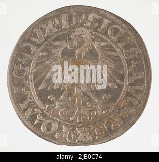 Zygmunt II agosto [1544 (1548) 1572], semisgrave, Vilnius; 1548 Mint di Vilnius, Zygmunt agosto Foto Stock