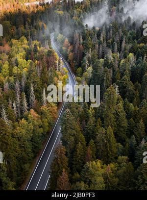 Veduta aerea della strada curvilinea che passa attraverso la foresta d'autunno, vista dall'alto Foto Stock