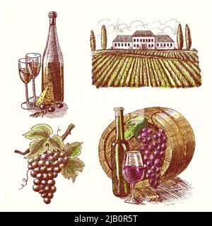 Vino vintage abbozzetto decorativo disegnata a mano icone set di botte grappolo vino ramo cantina isolato vettore illustrazione Illustrazione Vettoriale