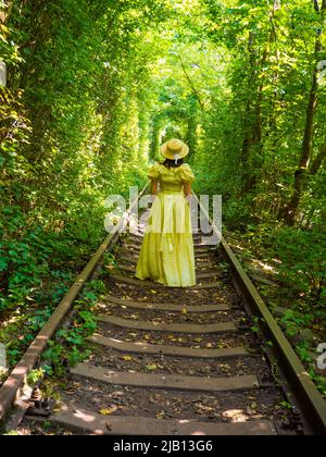 Ferrovia panoramica nella foresta estiva. Tunnel d'amore a Klevan, Ucraina Foto Stock