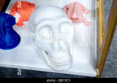 Cranio umano stampato su stampante 3D da primo piano in plastica. Nuova tecnologia di stampa 3D. Concetto moderna nuova tecnologia ad additivi progressivi. 3D modelli creati con la stampa additiva 3D Foto Stock