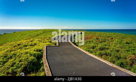 Percorso pedonale in cima alla Riserva Naturale dell'Isola di Muttonbird a Coffs Harbour, NSW, Australia Foto Stock