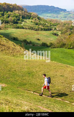 Un escursionista che cammina lungo il sentiero Cotswold Way National Trail lungo distanza sul pendio scarpato a Barrow Wake, Gloucestershire, Inghilterra Regno Unito Foto Stock