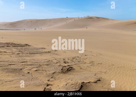 Bellissimo paesaggio Tottori Sand Dunes (Tottori Sakyu) in giornata di sole con cielo blu. Essi formano il grande sistema di dune oltre 2,4 km a Sanin, Giappone Foto Stock