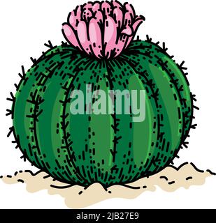 cactus fiore schizzo vettore disegnato a mano Illustrazione Vettoriale